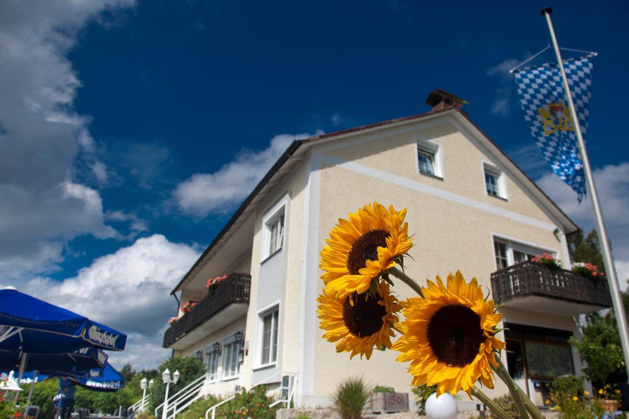 Landgasthof Am Sonnenhang Vohenstrauss Luaran gambar
